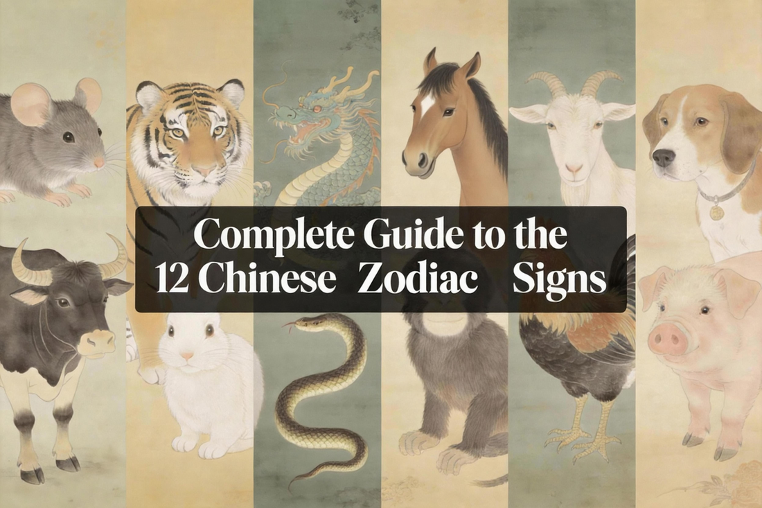 What Is the Chinese Zodiac? A Beginner's Guide for Everyone